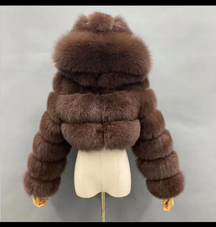 ❄️ Cold Luxe Collection